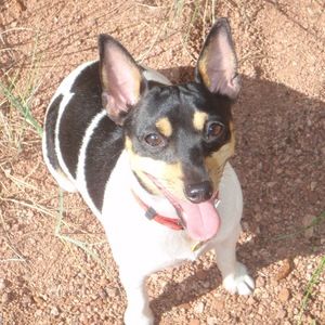 Meet your Posher, Carmen